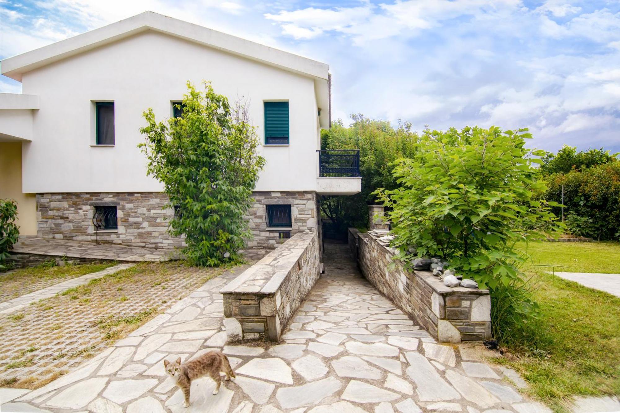 شقة Ileana'S House فولوس المظهر الخارجي الصورة